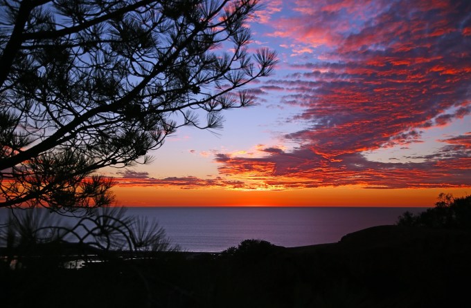 Bushwhack a few yards off trail in the Del Mar hills for this bit of solitude