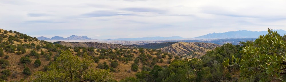 Whetstones & Huachucas