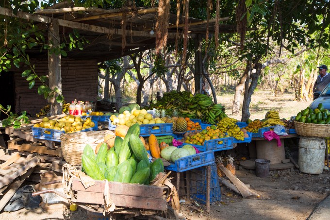 Roadside stand