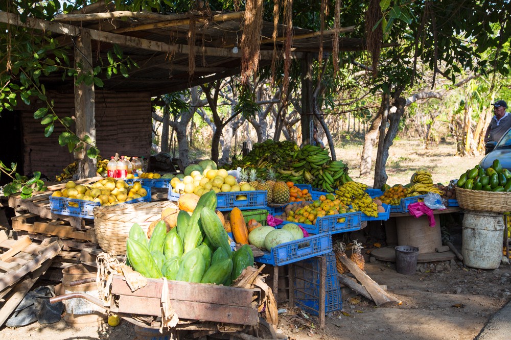 Roadside stand