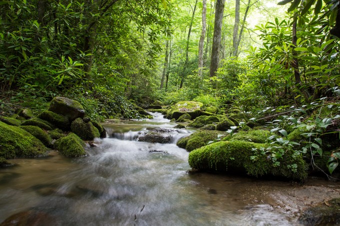 Smoky Mountains stream