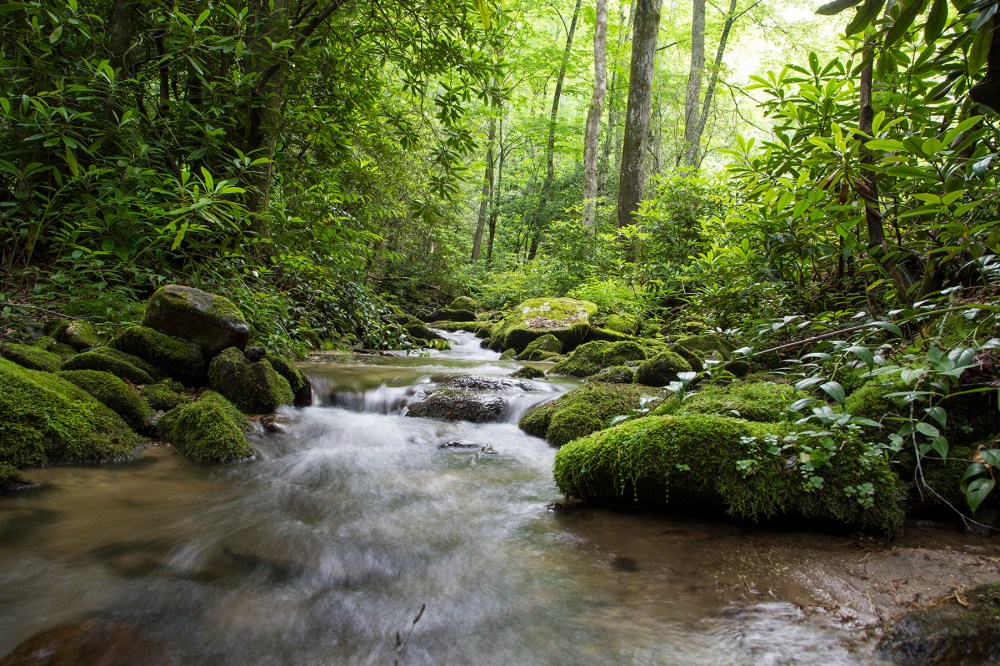 Smoky Mountains stream