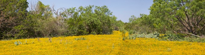 The road to Mason, TX