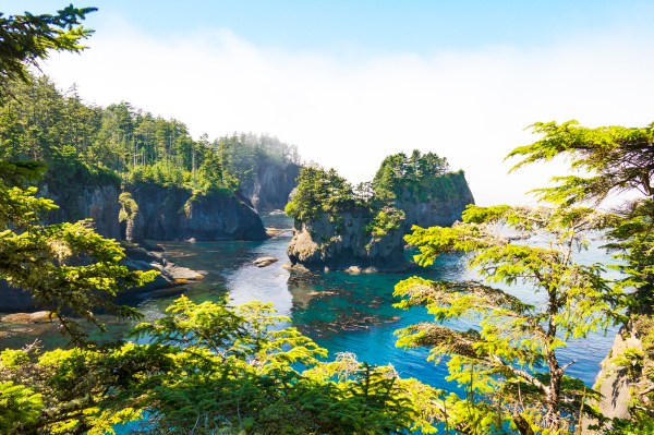 Cape Flattery