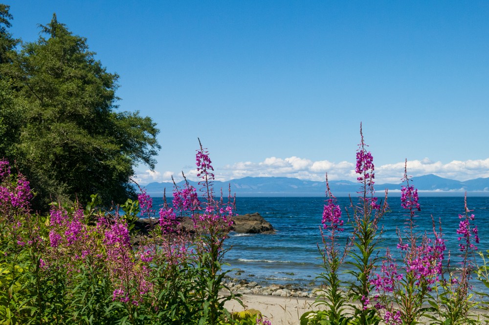 Near Neah Bay, with Vancouver Island across the Strait of Juan de Fuca.