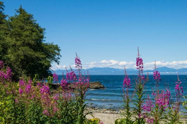 Near Neah Bay, with Vancouver Island across the Strait of Juan de Fuca.