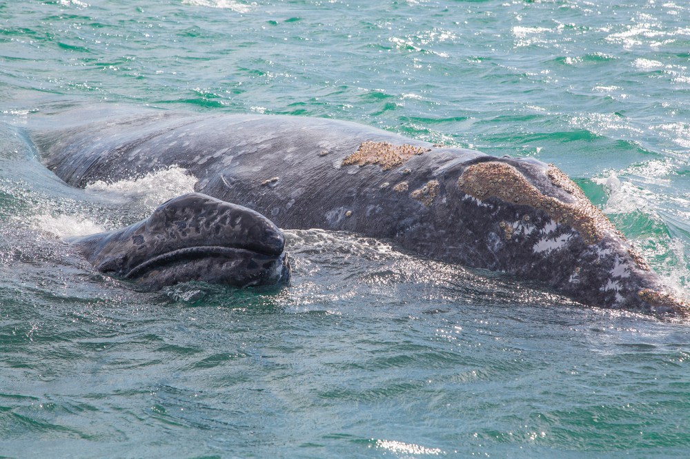 Nice meeting you two