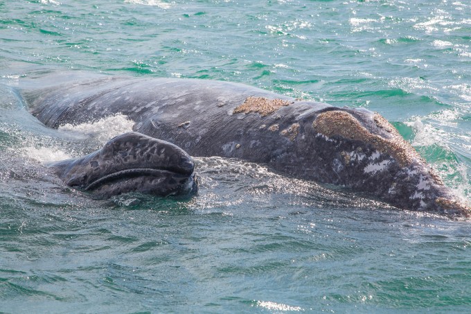 Nice meeting you two