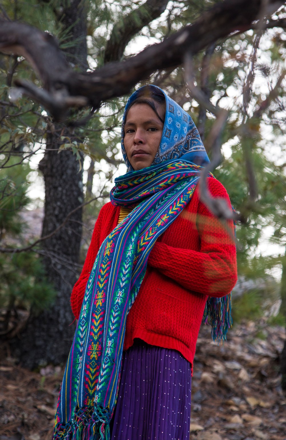 Enigmatic countenance