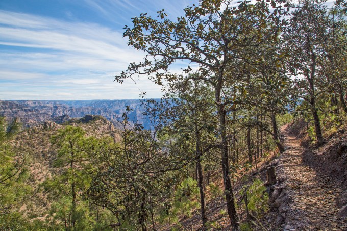 The Tarahumara trail beneath our feet 