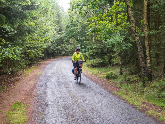 A common forest trail