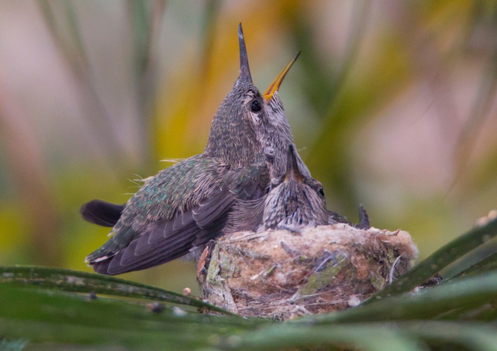 Arrghh, this is hard work