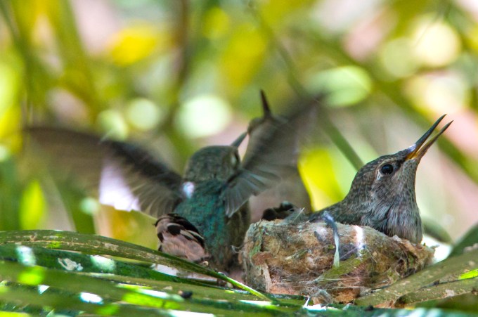 Look, ma, I can do this