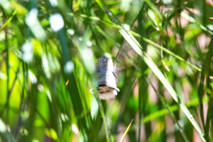 Look ourt world, here I come