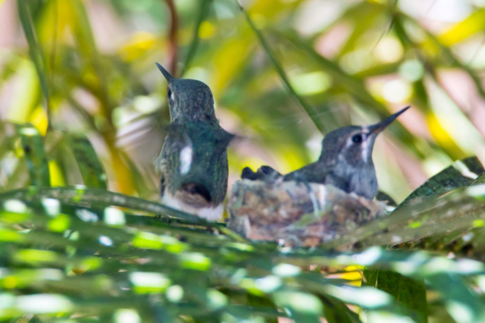 Okay, mom, I'm coming