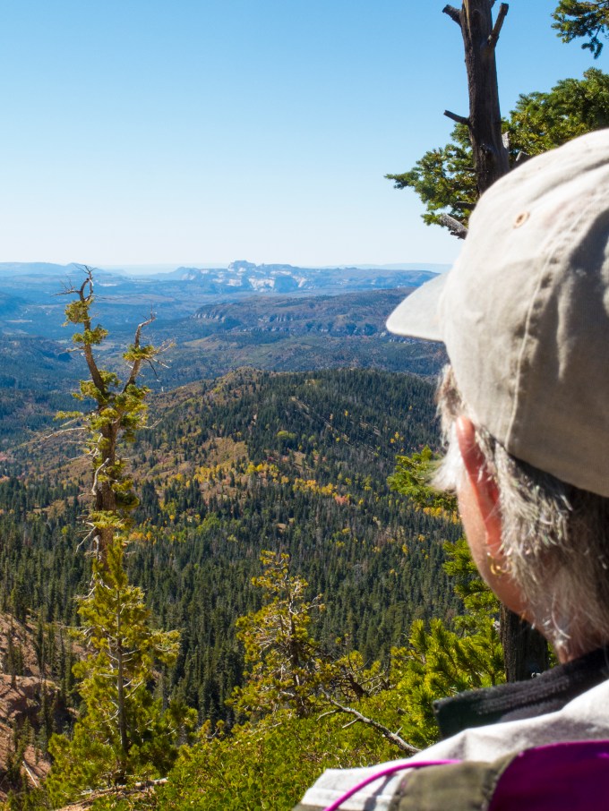 zion-from-the-virgin-river-ridge-trail