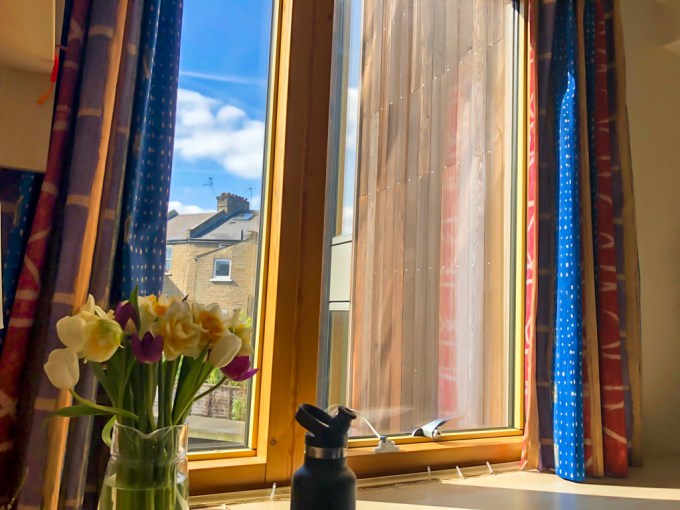 The view from Torrey's flat