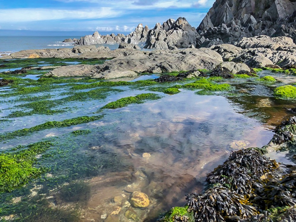 UNADJUSTEDNONRAW_thumb_31064