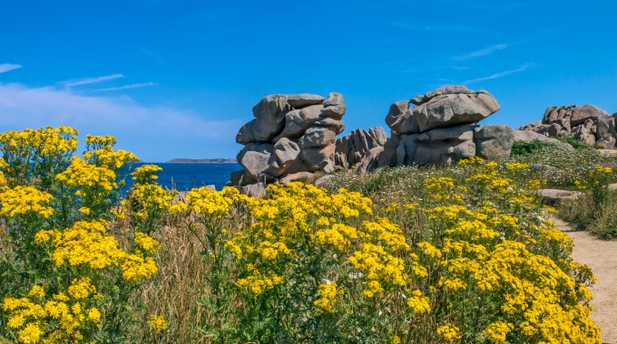 Granite and Flowers copy