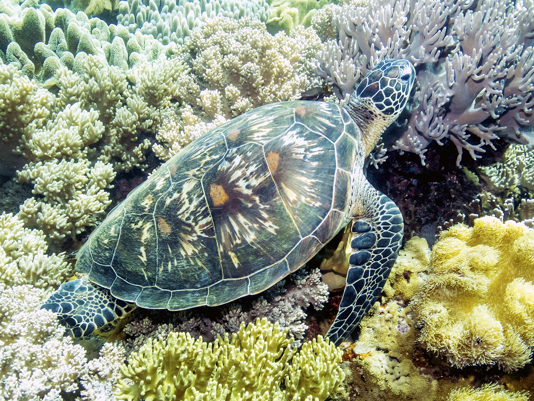 PC050115P8290009.ORF