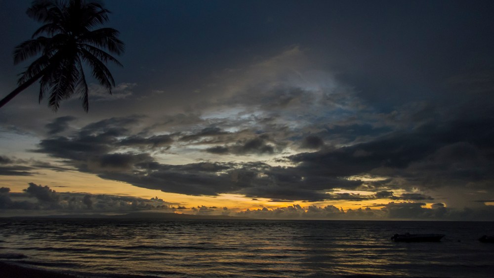 PC090268P8290009.ORF