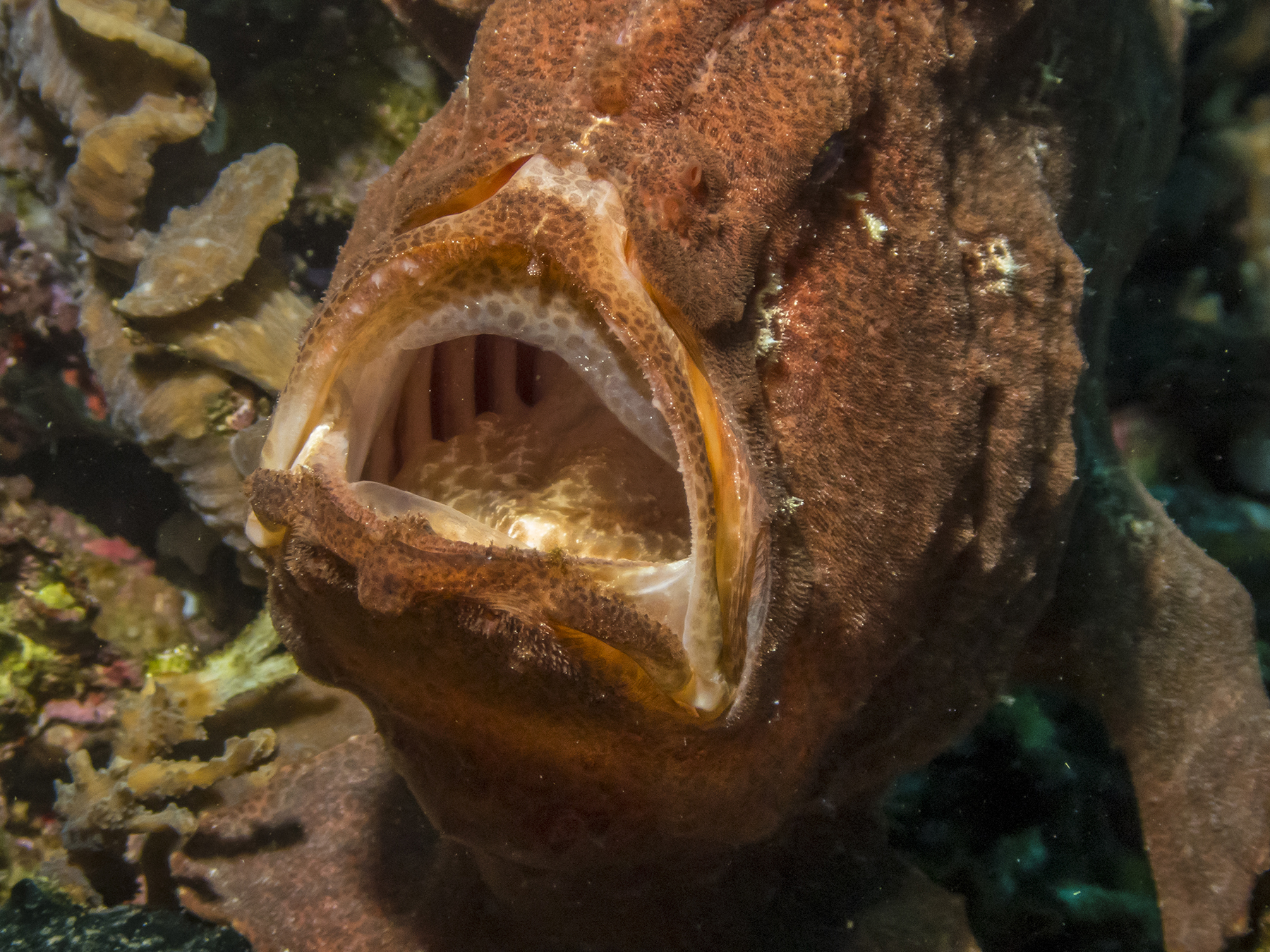 PC100468P8290009.ORF