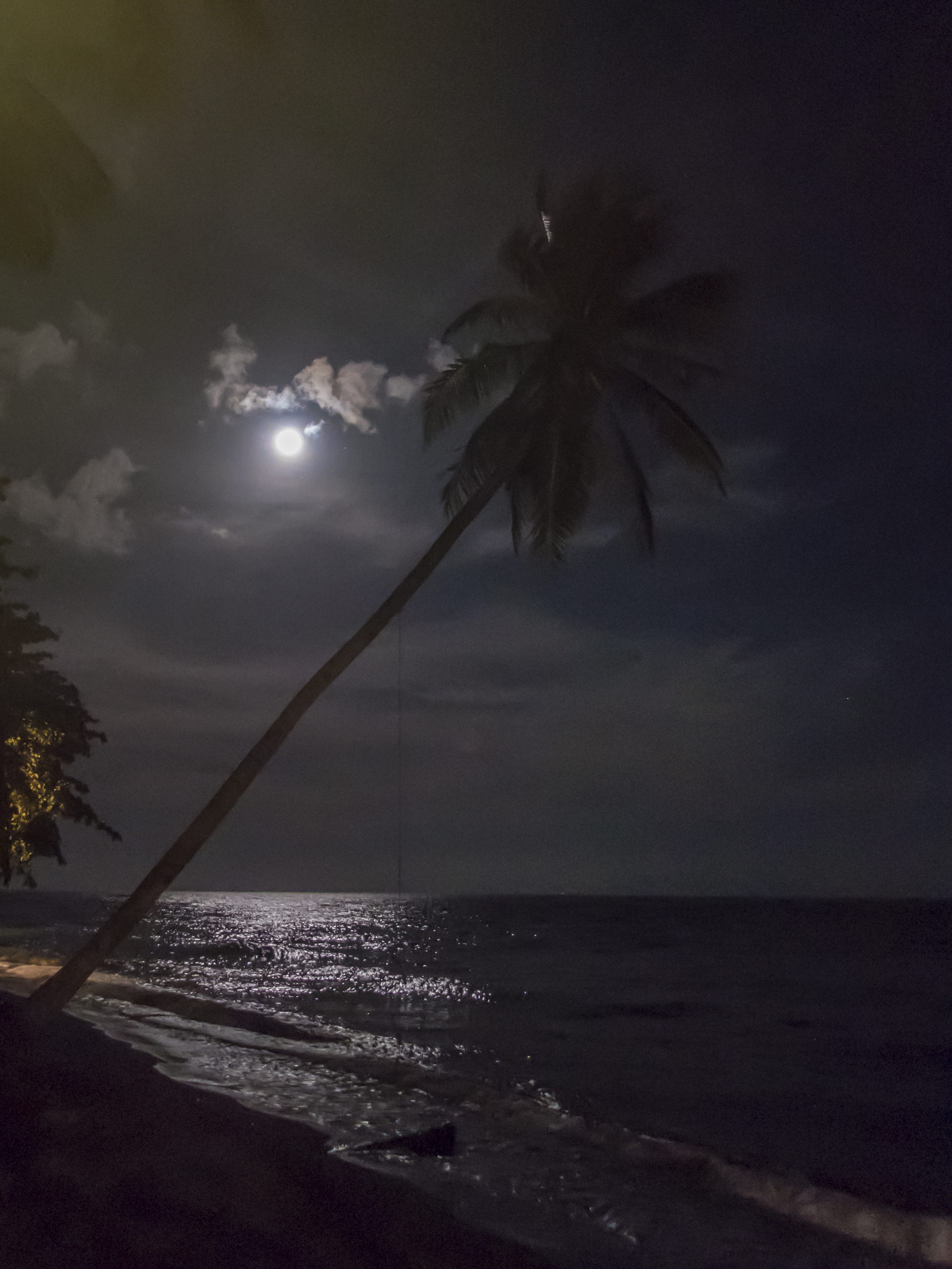 PC110495P8290009.ORF