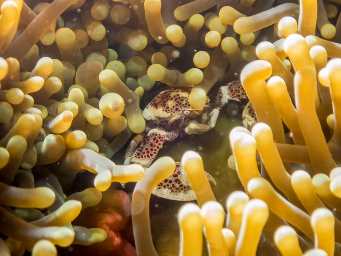 PC110679P8290009.ORF