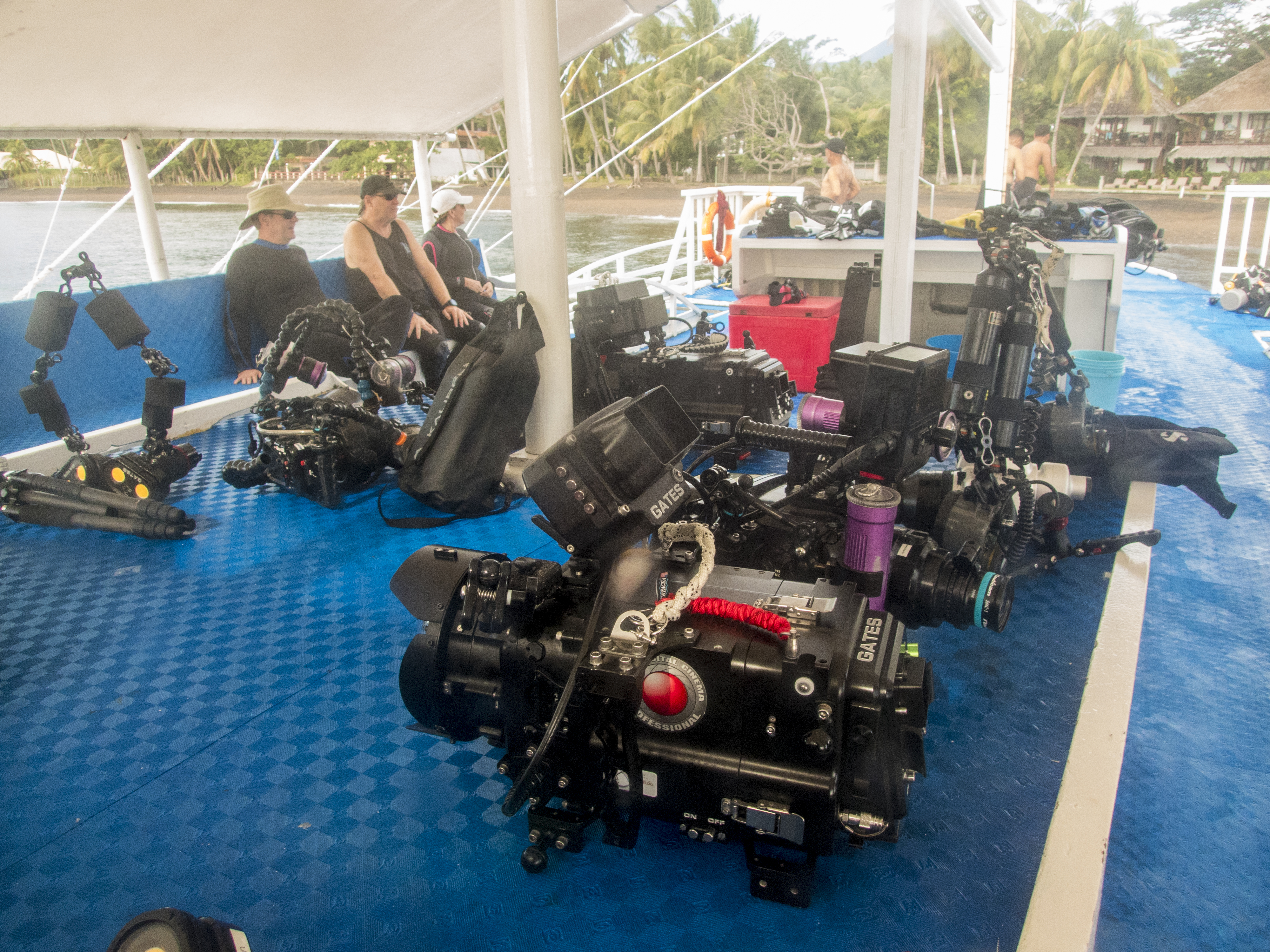 PC120691P8290009.ORF