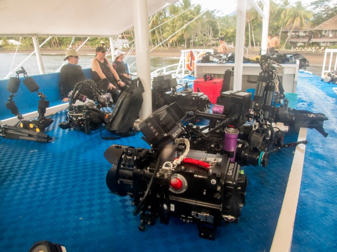 PC120691P8290009.ORF