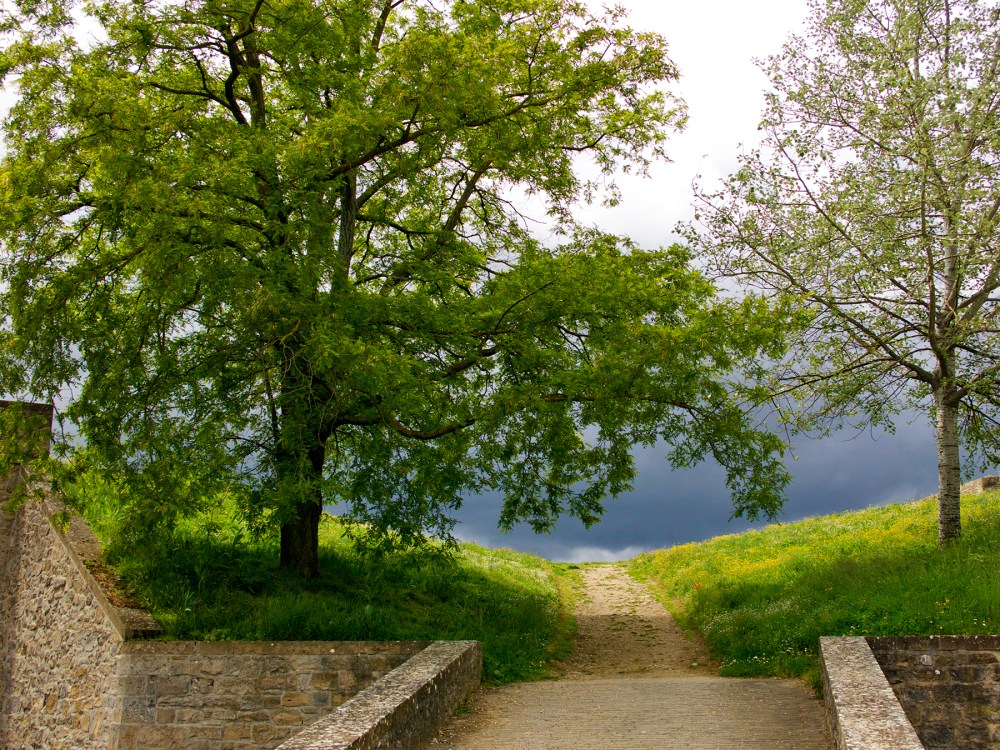 Pamplona trail