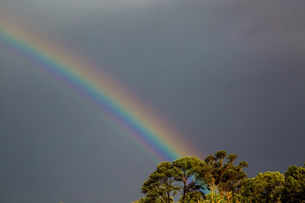Rainbow