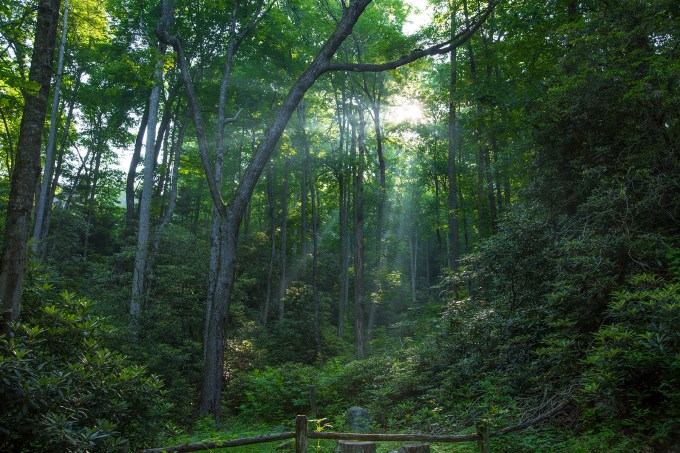 The road to Trip's place