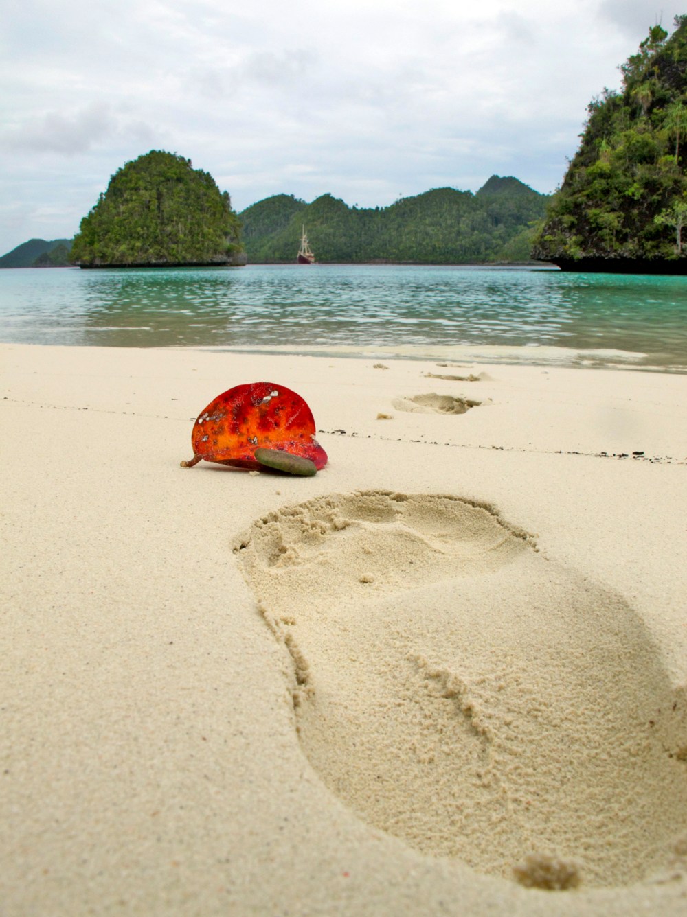Tuesday's footprint